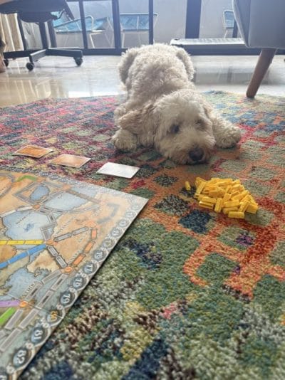 Ticket To Ride Fan